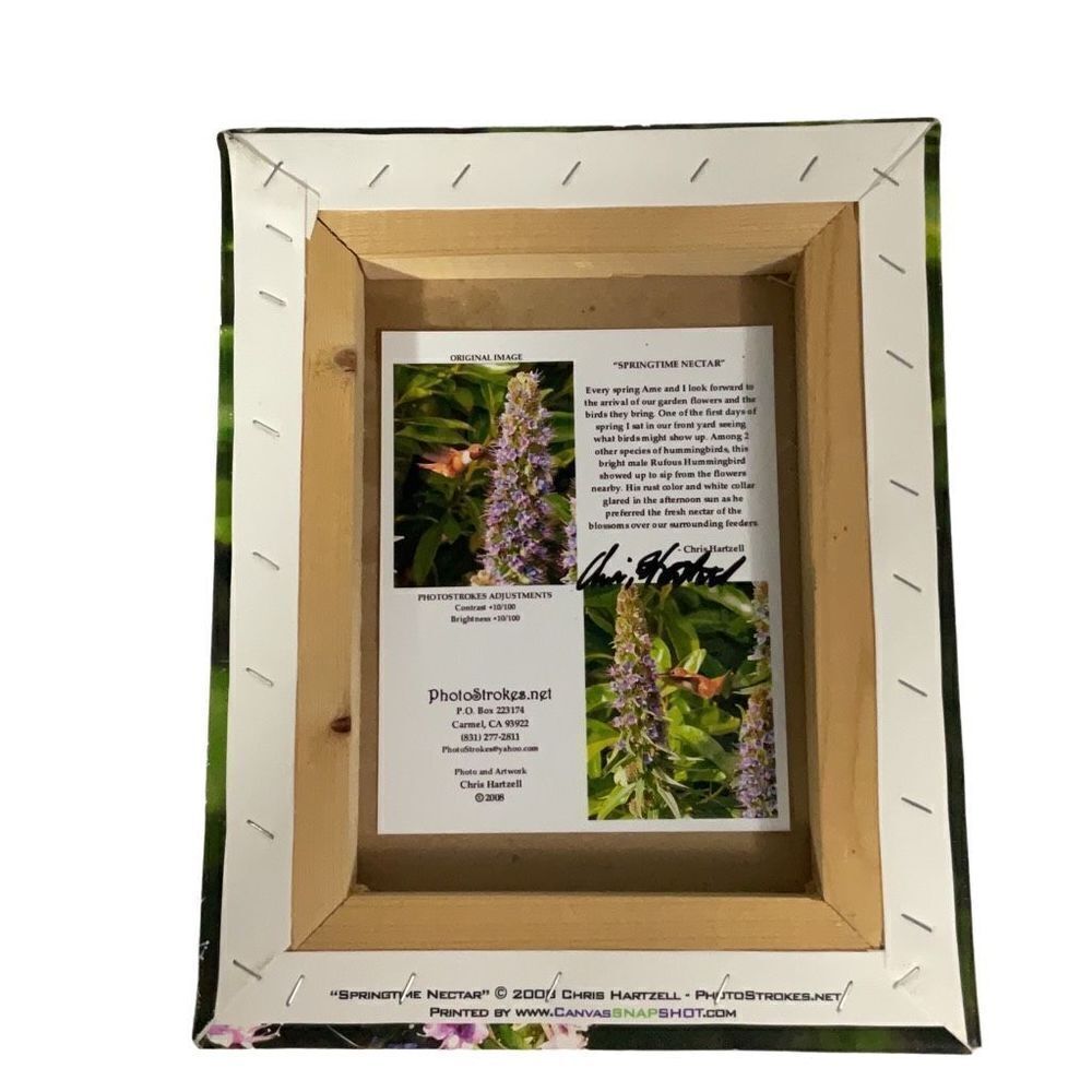 Art Prints Springtime Nectar Hummingbird Photo Strokes 8x10 Wall Mounted Canvas - Picture 2 of 4